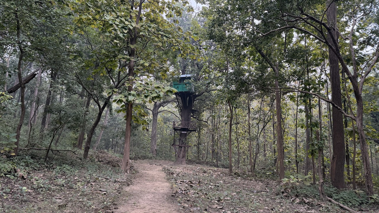 Nandhaur Wildlife Sanctuary Uttrakhand tree house