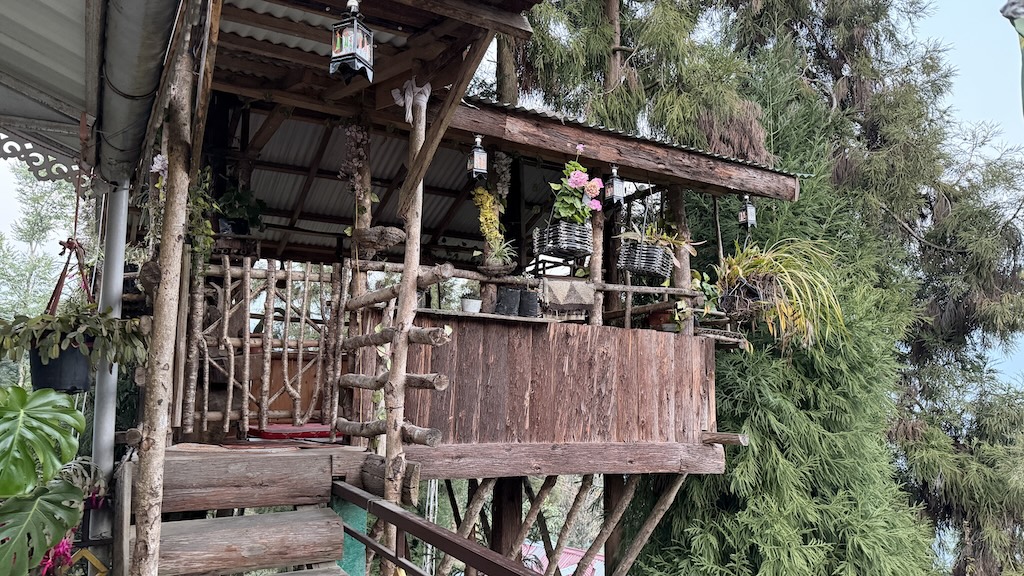 kewzing tree house